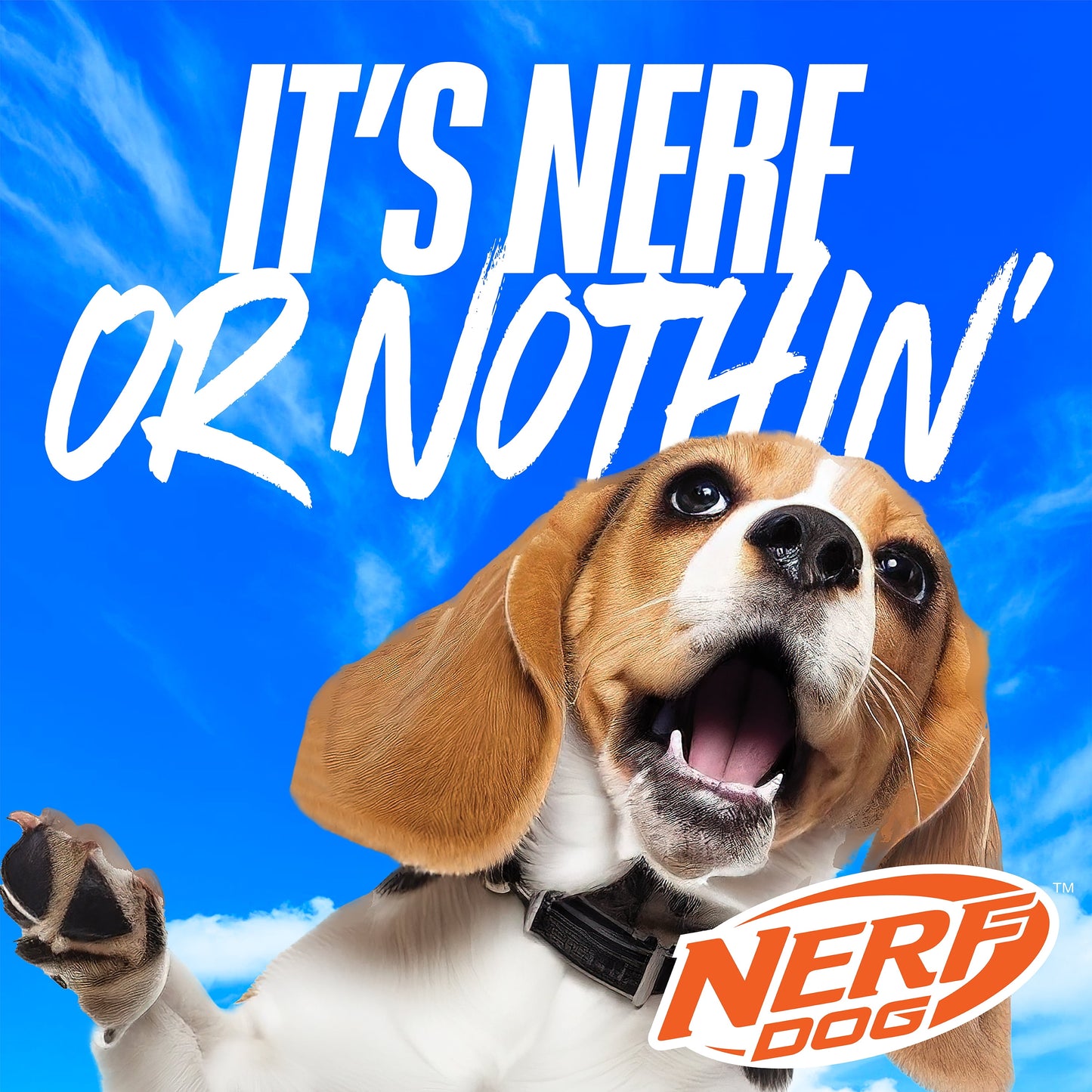 Squeak Tennis Ball Dog Toy, 2.5 Inch, 3 Pack