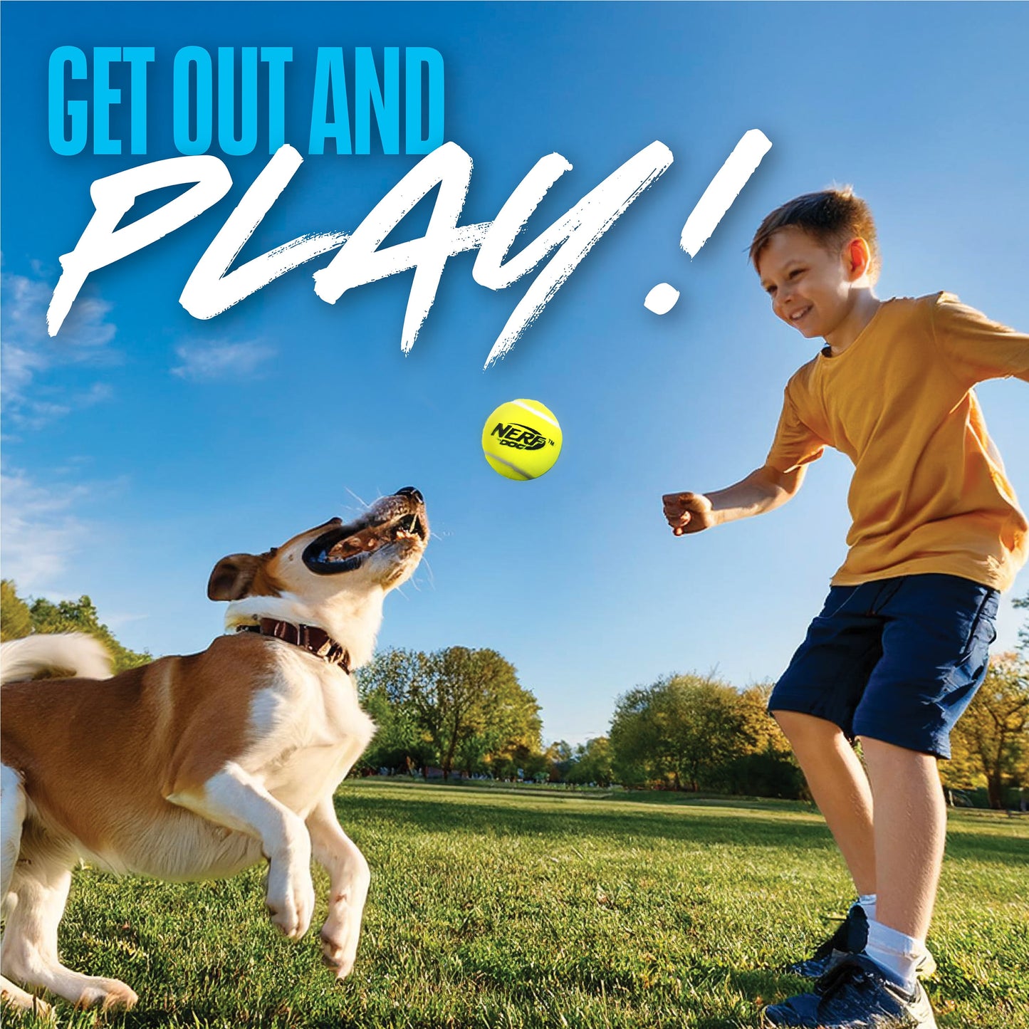 Squeak Tennis Ball Dog Toy, 2.5 Inch, 3 Pack